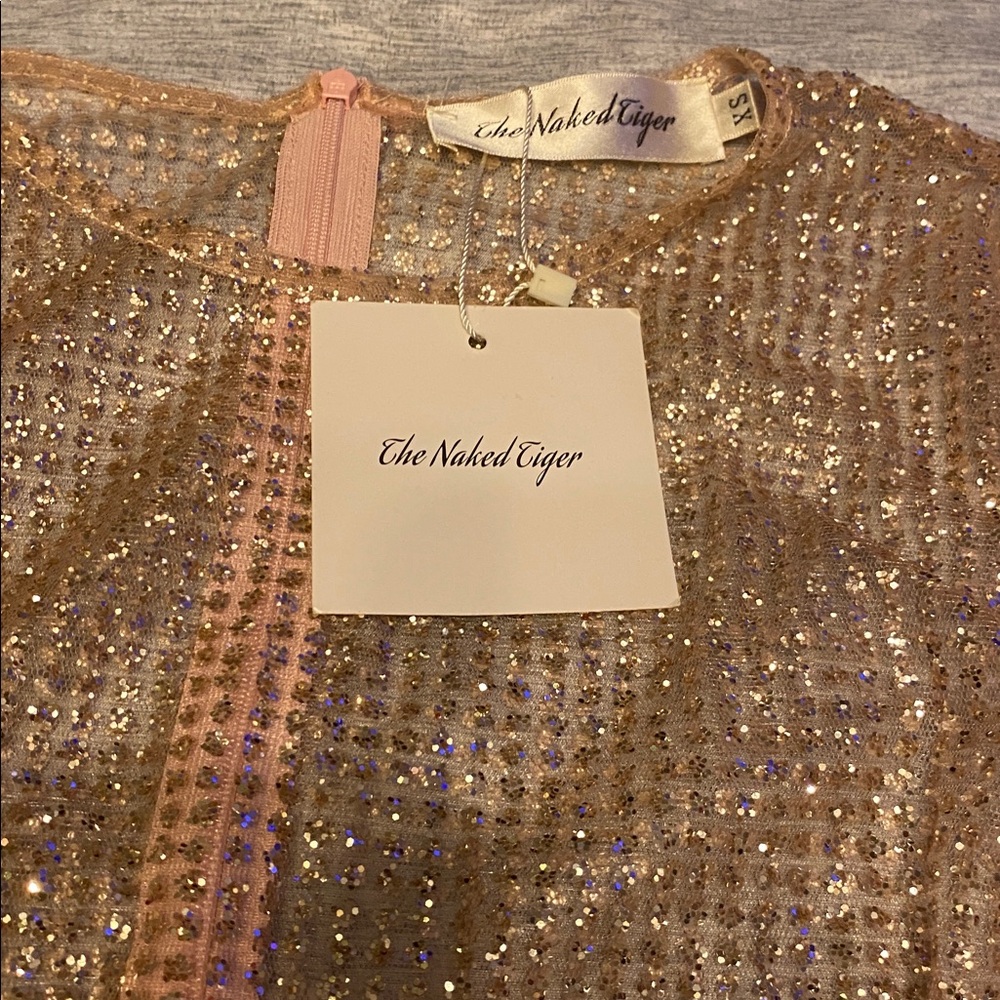 The Naked Tiger IGGY DRESS Long Sleeve Sheer Sz XS Light Pink NWT - Picture 3 of 14